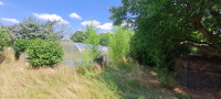 /album/bildergalerie5/garten4-jpg/