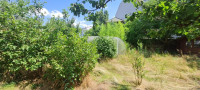 /album/bildergalerie5/garten5-jpg/