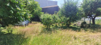 /album/bildergalerie5/garten6-jpg/